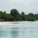 Guided tours of Sentosa’s biodiversity, learning journeys to Jurong Island among more than 1,000 Go Green SG 2026 initiatives, Singapore News