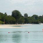 Guided tours of Sentosa’s biodiversity, learning journeys to Jurong Island among more than 1,000 Go Green SG 2026 initiatives, Singapore News