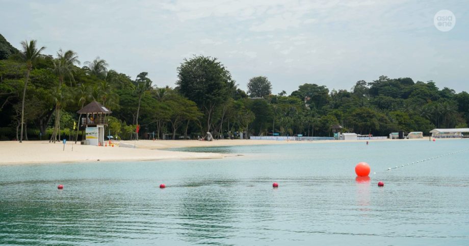 Guided tours of Sentosa’s biodiversity, learning journeys to Jurong Island among more than 1,000 Go Green SG 2026 initiatives, Singapore News