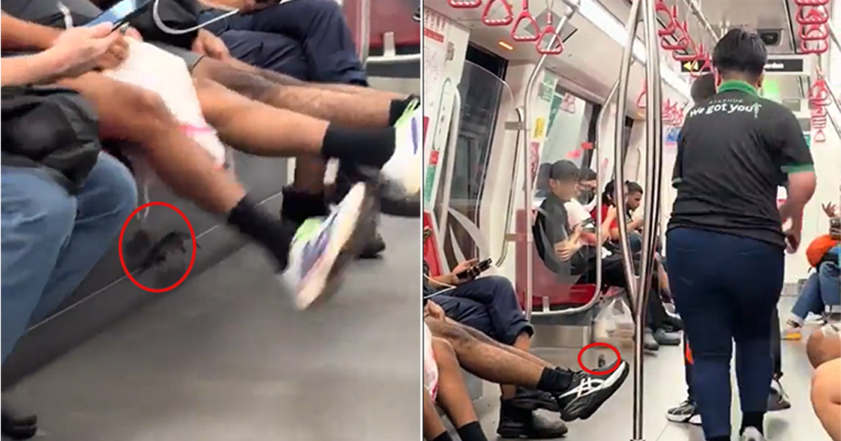 ‘Master Splinter belongs in the subway’: Rat sighted on East-West Line train, Singapore News ‘Master Splinter belongs in the subway’: Rat sighted on East-West Line train, Singapore News