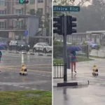 Boy in toy car: Great parenting or dangerous?