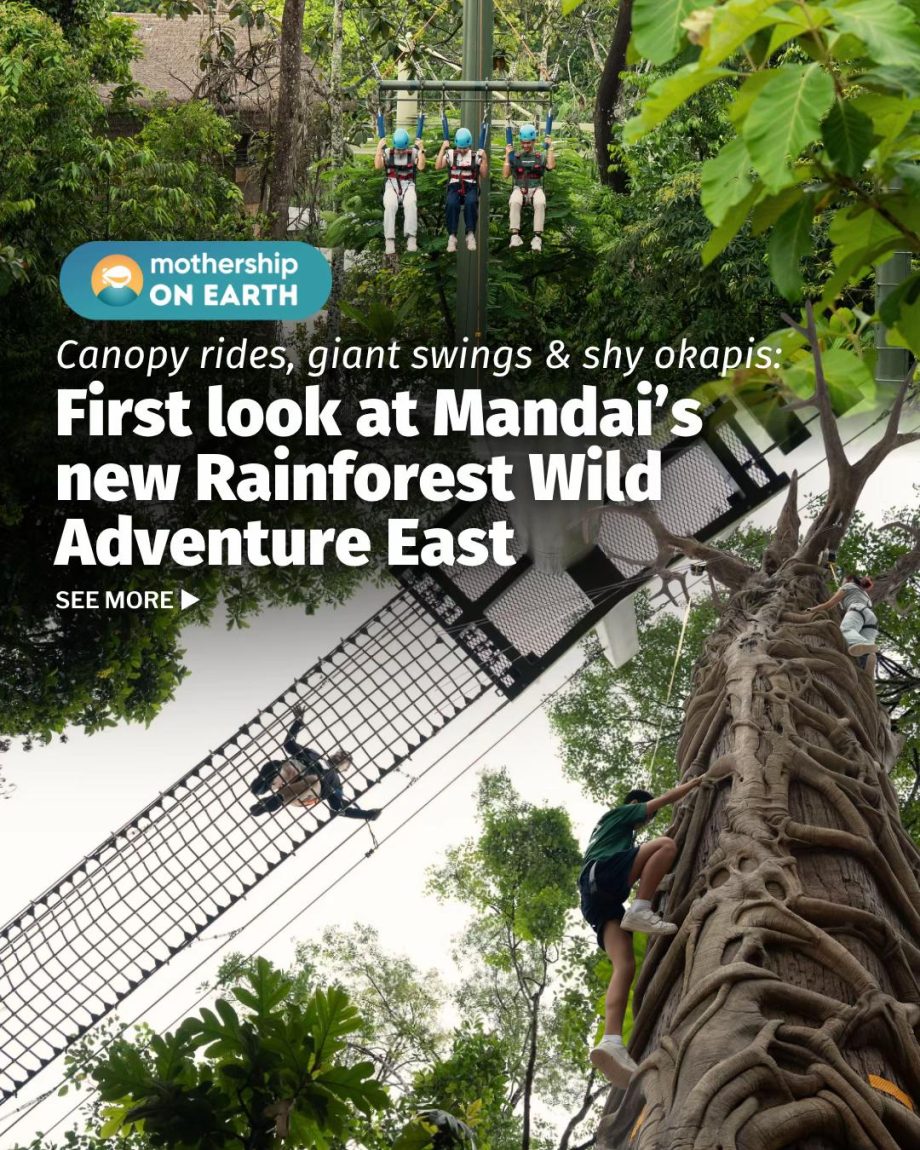 @mothershipsg somewhere between a zoo trip and a high elements course The 2nd z… @mothershipsg somewhere between a zoo trip and a high elements course The 2nd z…