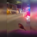 Multi-vehicle accident on AYE: 17 hospitalised