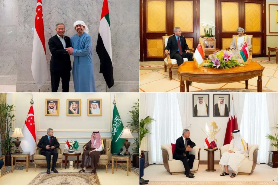 Vivian Balakrishnan discusses Strait of Hormuz in Middle East visit