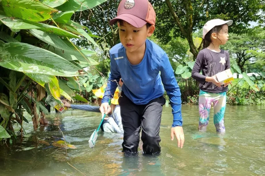 Sustainable fun: June school holiday activities to keep kids busy while learning to save the earth