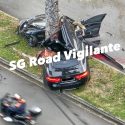 Driver dies after car crashes into tree in Clementi