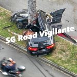 Driver dies after car crashes into tree in Clementi