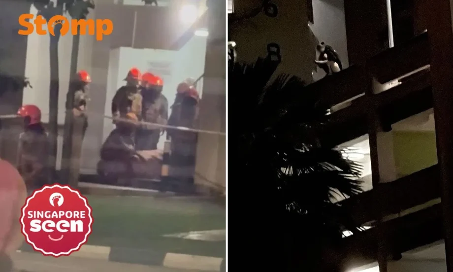 Choa Chu Kang incident: Woman apprehended on carpark ledge Choa Chu Kang incident: Woman apprehended on carpark ledge