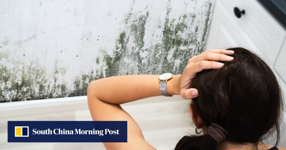 Are mould and toxins in your home making you ill? Expert tips to reduce health risks