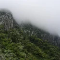 Singaporean tourist rescued by helicopter in S. Korea after allegedly entering restricted area