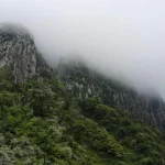 Singaporean tourist rescued by helicopter in S. Korea after allegedly entering restricted area Singaporean tourist rescued by helicopter in S. Korea after allegedly entering restricted area
