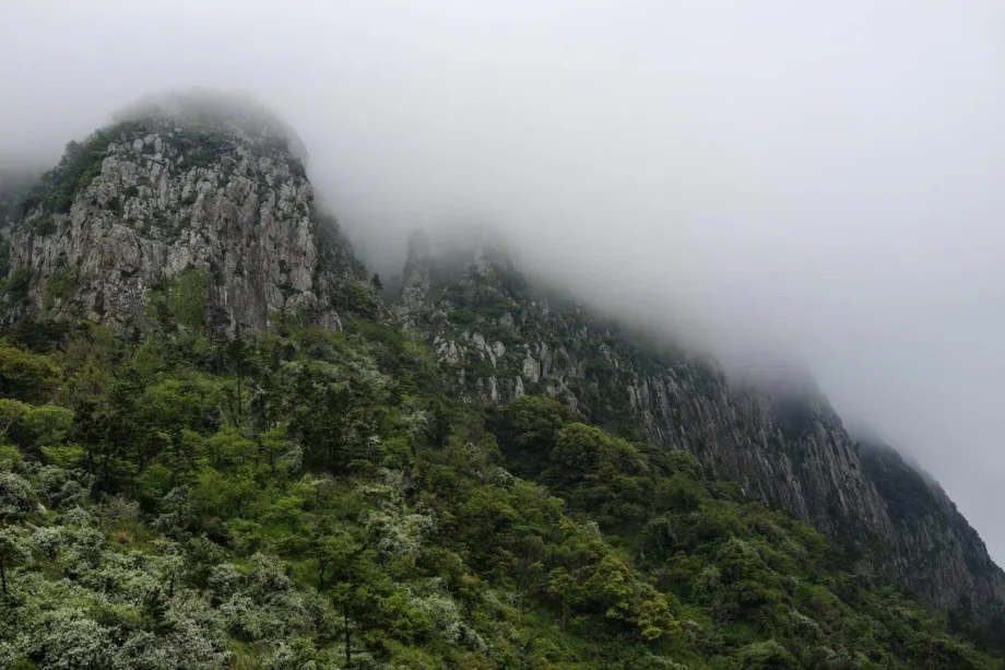 Singaporean tourist rescued by helicopter in S. Korea after allegedly entering restricted area