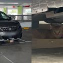 Pet owner turns unused car into makeshift cat house at Yishun car park, Singapore News