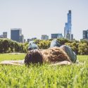 Mastering the art of the tourist nap for a richer travel experience