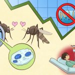 Biting back against dengue – Why experts are cautious despite Singapore’s success in lowering case count