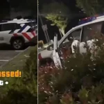 Woman assisting with investigations after entering police car