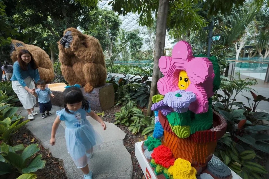 Jewel Changi Airport blooms with 800,000 Lego bricks Jewel Changi Airport blooms with 800,000 Lego bricks