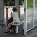 Bus stop cooling: Govt studies options, no solar fans