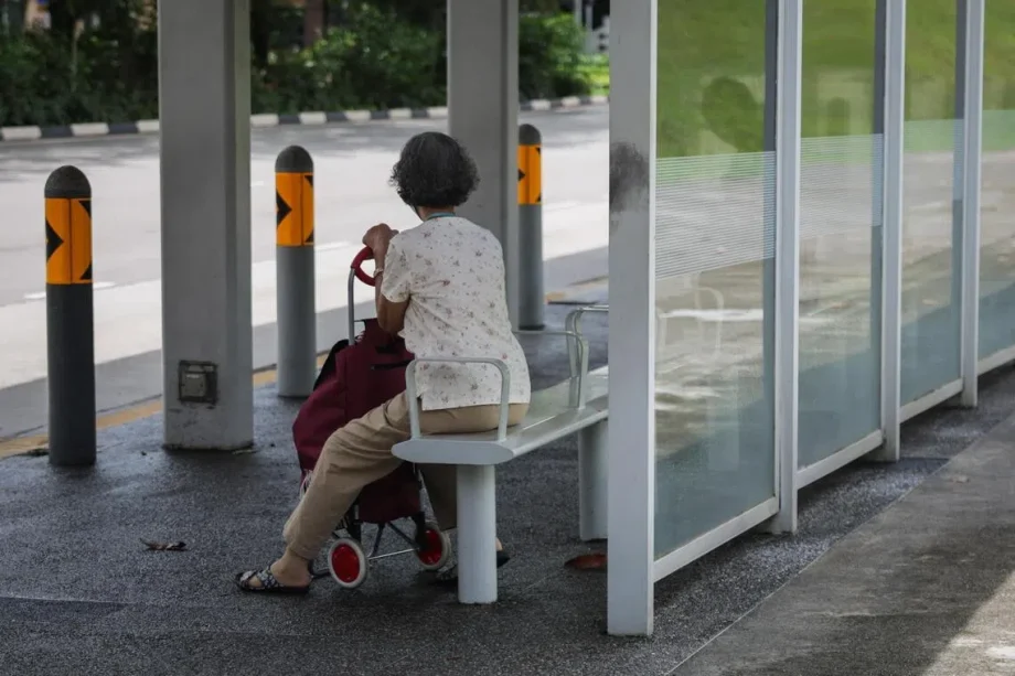 Bus stop cooling: Govt studies options, no solar fans