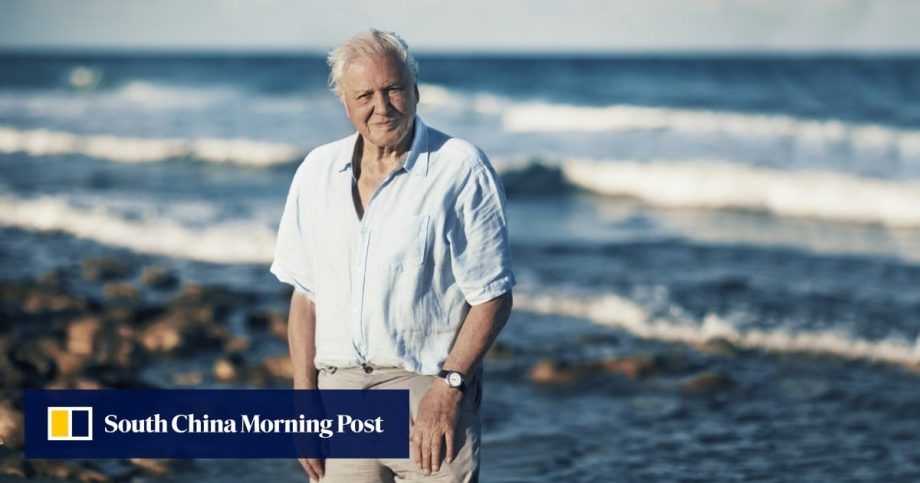 As David Attenborough turns 100, the star naturalist’s unequalled impact over 70 years