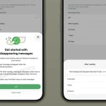 WhatsApp tests new disappearing messages option