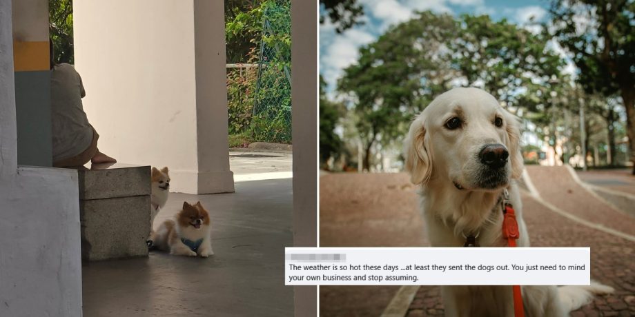 Netizen calls out helpers in Bukit Purmei for allegedly sitting instead of walking dogs, receives backlash