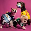 adidas launches first pet collection in Singapore