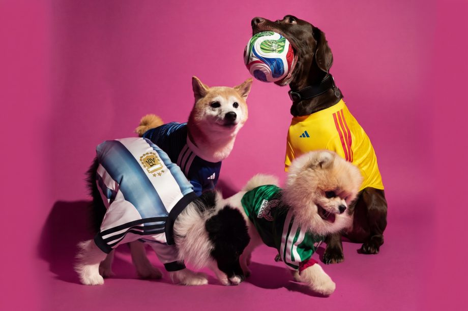 adidas launches first pet collection in Singapore