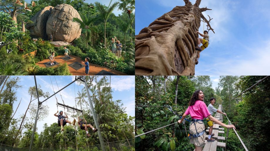 Phase 2 Opens May 20 with Zip Lines, Treetop Walk, and Okapi Debut