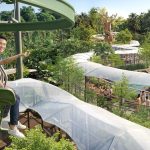 Mandai’s Rainforest Wild Adventure opens on May 20 with new attractions and wildlife