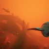 Subnautica 2 Will Be In Early Access May 14, At Long Last