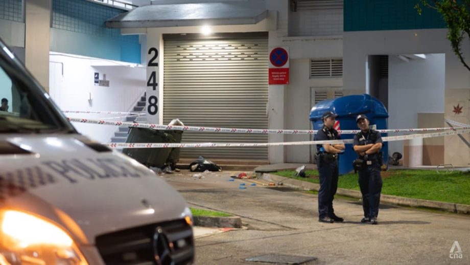 Man, 22, charged with murdering 21-year-old woman in lift at Choa Chu Kang block Man, 22, charged with murdering 21-year-old woman in lift at Choa Chu Kang block