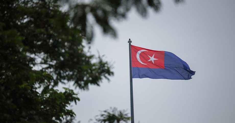 Johor is promoting a state identity. Not everyone feels the same about it