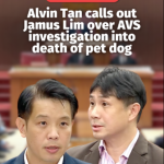 @mothershipsg Minister of State Alvin Tan said in Parliament on May 5 that WP’s …