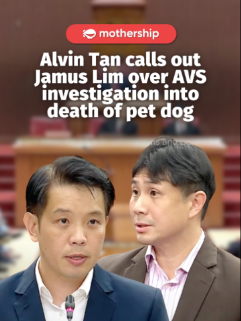 @mothershipsg Minister of State Alvin Tan said in Parliament on May 5 that WP’s …