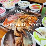 @vivian.sg.5 乌节路这间韩式火锅烧烤自助 Gangnam Story 太划算啦#新加坡 #新加坡美食 #新加坡火锅自助#新加坡烧烤自助#新加坡生活 …