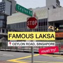 @celeste.wu U SHOULD TRY THIS ONE  #singapore #laksasingapore #katonglaksa #328k…