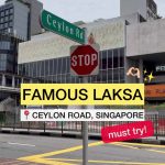 @celeste.wu U SHOULD TRY THIS ONE  #singapore #laksasingapore #katonglaksa #328k…