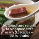 @channelnewsasia  Pig blood curd, or blood tofu, is returning to Singapore after…