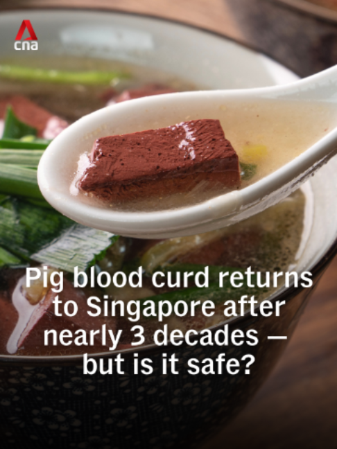 @channelnewsasia Pig blood curd, or blood tofu, is returning to Singapore after… @channelnewsasia Pig blood curd, or blood tofu, is returning to Singapore after…