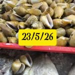@mankelofishery where to find fresh seafood Singapore? MANKELO JOSS! #supportloc…