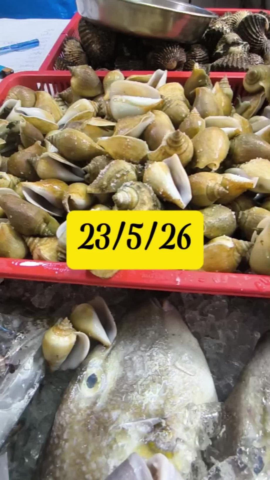 @mankelofishery where to find fresh seafood Singapore? MANKELO JOSS! #supportloc…