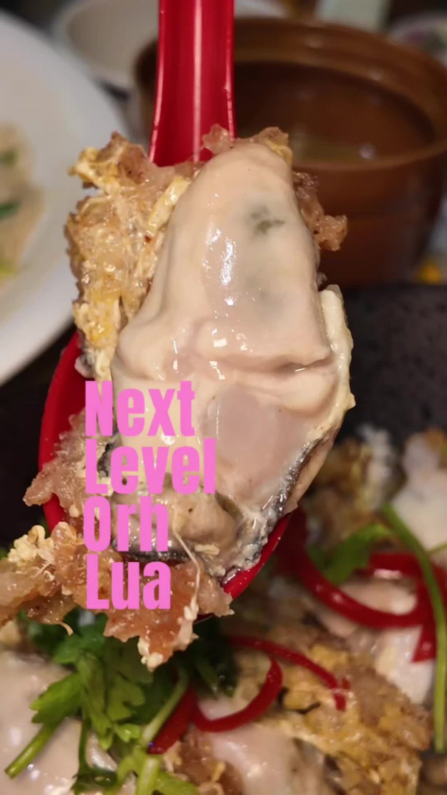 @thecassiefeed Next level orh lua (oyster omelette)?! It’s definitely an upgrade… @thecassiefeed Next level orh lua (oyster omelette)?! It’s definitely an upgrade…