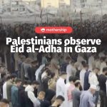 @mothershipsg Gaza’s Ministry of Agriculture stated that commemorating Eid al-Ad…