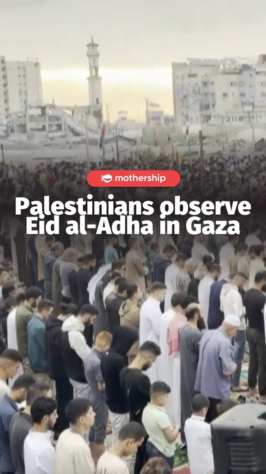 @mothershipsg Gaza’s Ministry of Agriculture stated that commemorating Eid al-Ad… @mothershipsg Gaza’s Ministry of Agriculture stated that commemorating Eid al-Ad…
