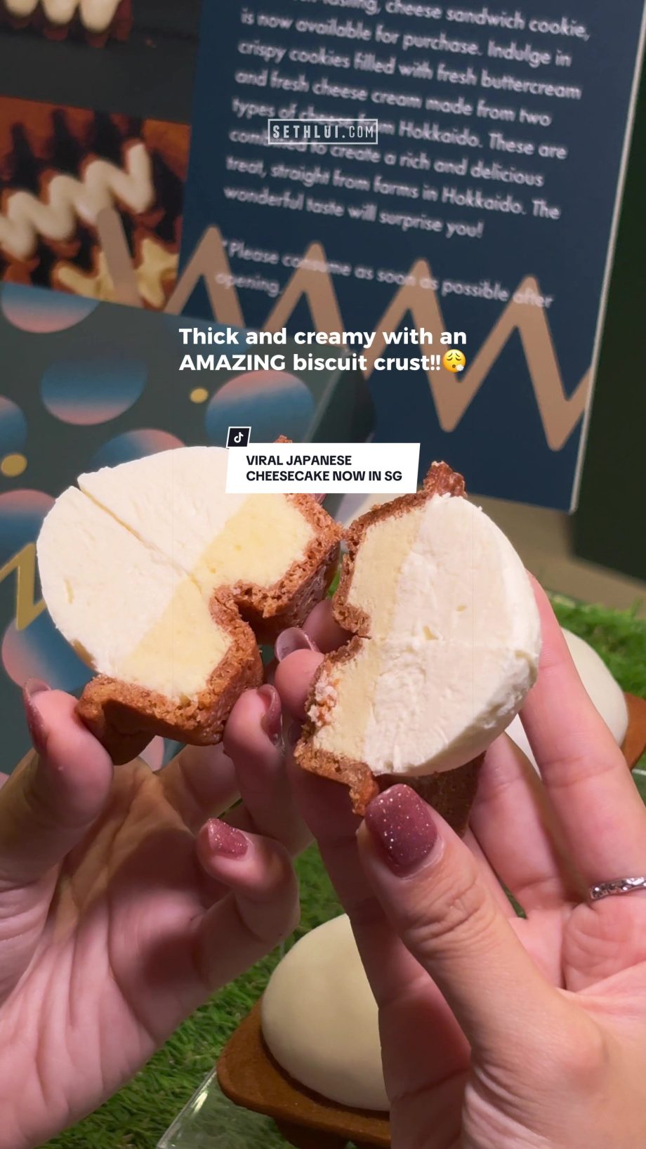 @sethlui.com try this viral Japanese cheesecake before its too late! Cheese Wond…