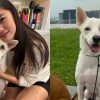 Chantalle Ng Successfully Finds New Home For Her Foster Dog: “Sometimes Love Is Letting Go”