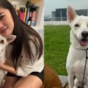 Chantalle Ng Successfully Finds New Home For Her Foster Dog: “Sometimes Love Is Letting Go”