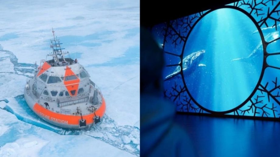 Science Centre Singapore to debut immersive ocean exhibition One Ocean: Every Action Ripples Science Centre Singapore to debut immersive ocean exhibition One Ocean: Every Action Ripples