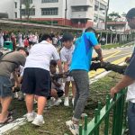 Over 20 residents, students rally to move seven-storey-tall fallen tree in Serangoon, Singapore News